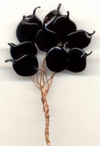 Black Small Leaves